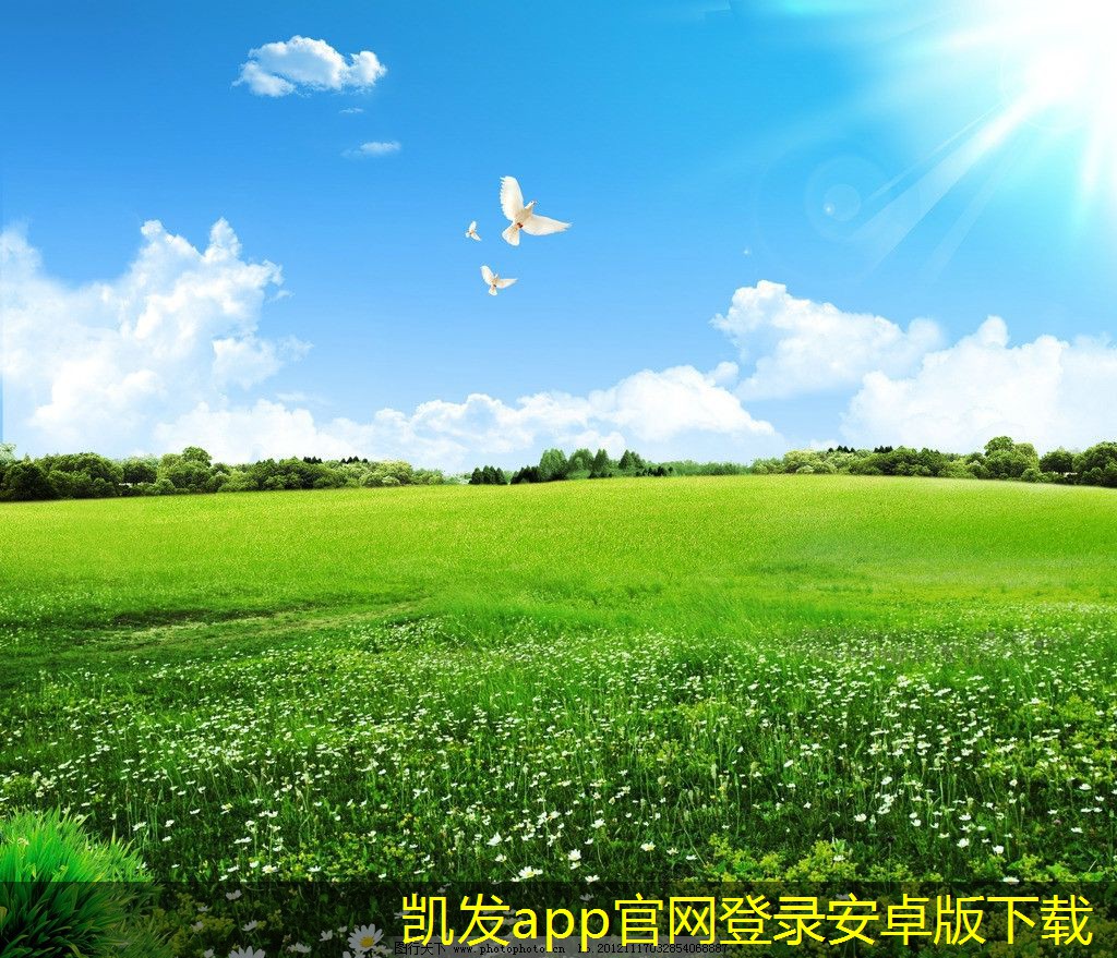 停車道閘市場(chǎng)的競爭分析