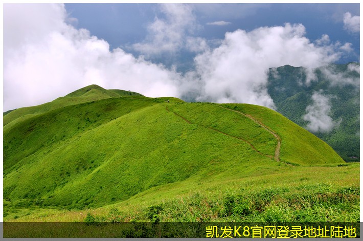 高效管理停車場(chǎng)的停車道閘